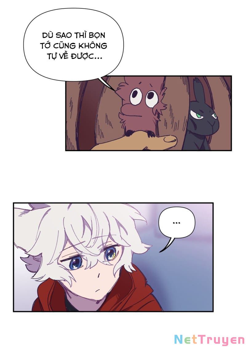 lumine - cội nguồn ánh sáng chapter 117 14