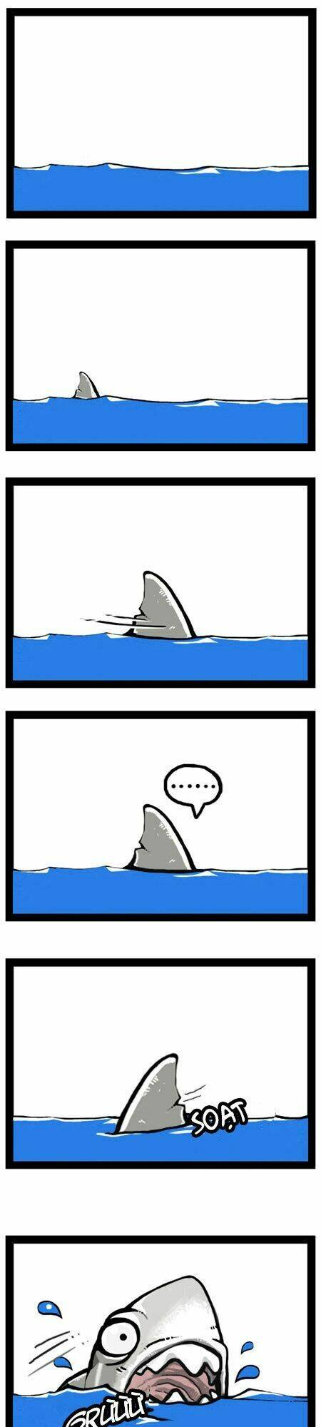 earth, human, and animal chapter 8 2