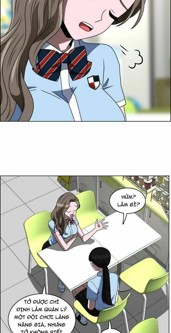 no scope chapter 31 47