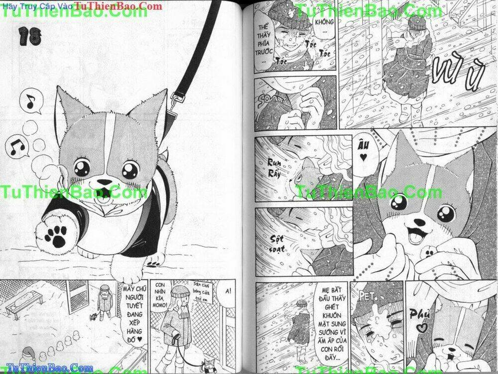 chó con mo mo chapter 3 61