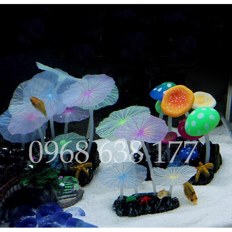 Lá Sen Dạ Quang trang trí bể cá cảnh