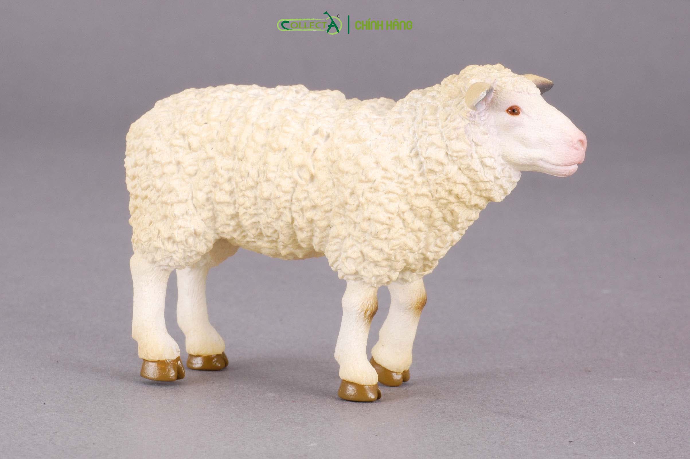 Mô hình thu nhỏ: Cừu mẹ - Sheep, hiệu: CollectA, mã HS 9650170[88008] -  Chất liệu an toàn cho trẻ - Hàng chính hãng