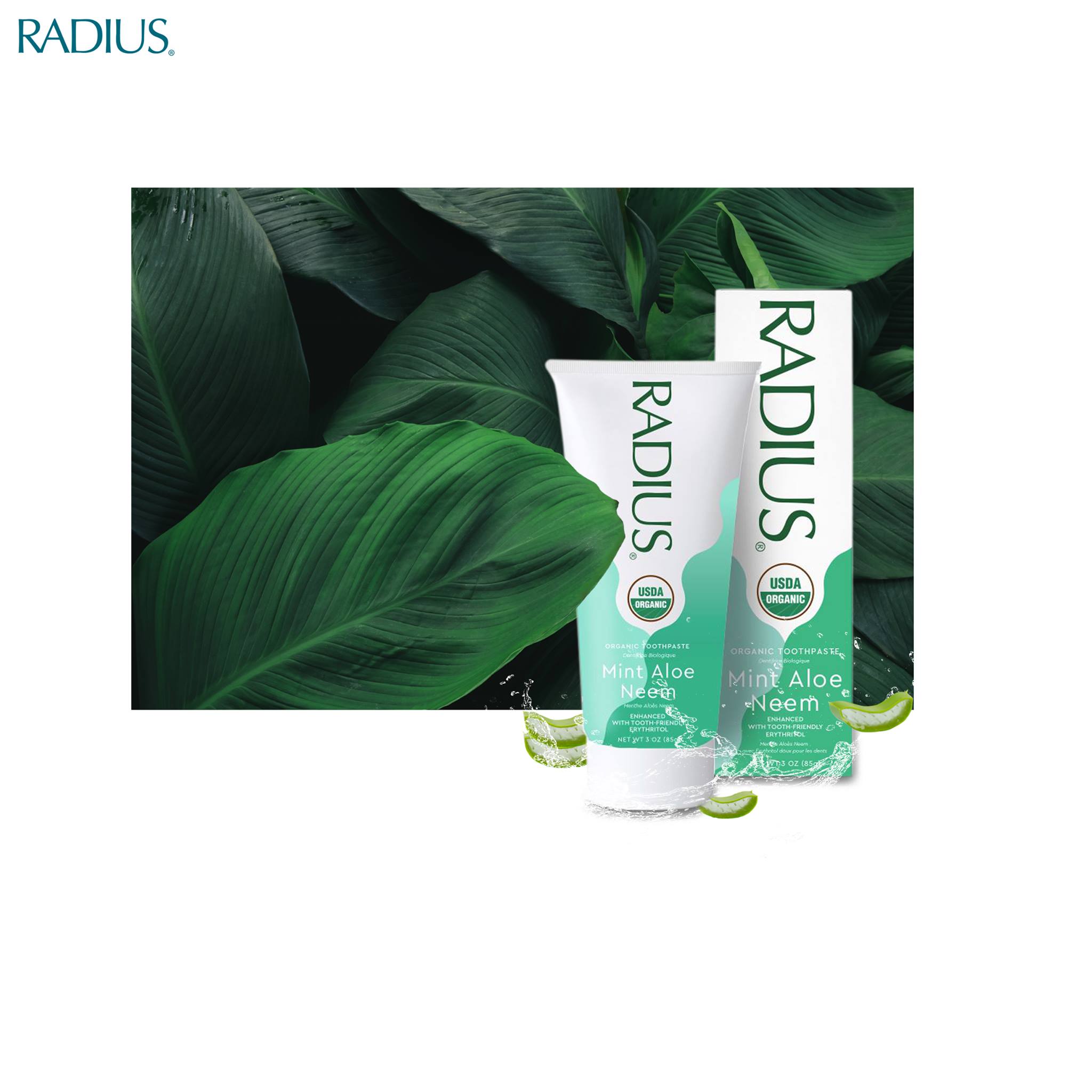 Kem Đánh Răng Hữu Cơ Vị Bạc Hà Lô Hội 85g Radius USDA Organic Mint Aloe Neem Toothpaste