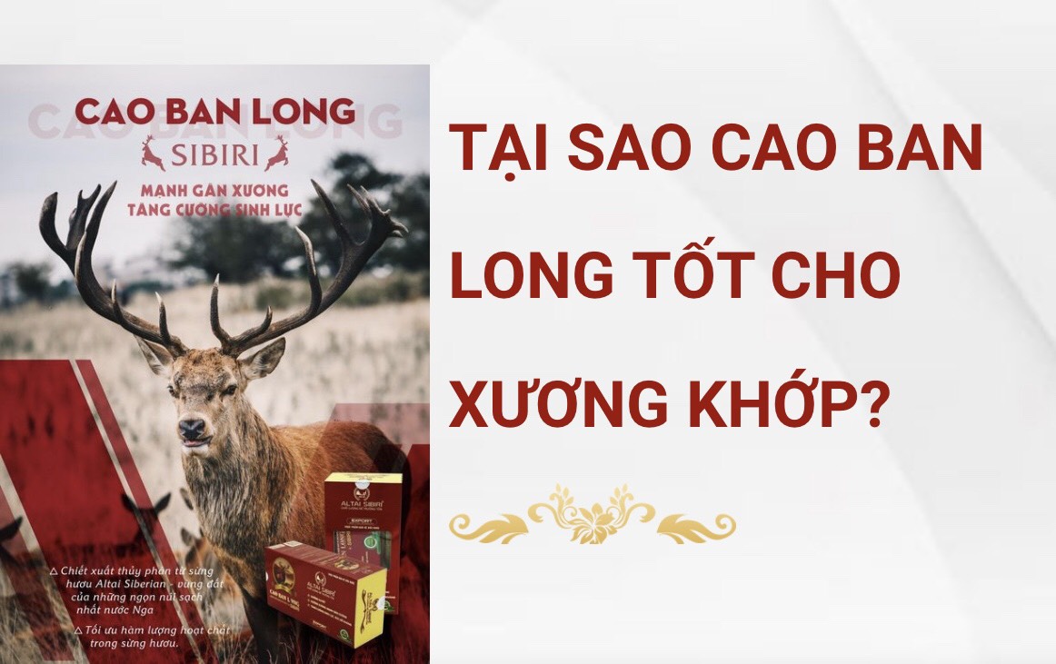 Cao ban long Sibiri (50gram) Bồi bổ cơ thể, bổ máu, dưỡng gan thận, mạnh gân xương, trừ phong thấp, tăng sức đề kháng