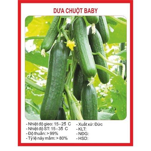Combo 5 gói hạt giống dưa chuột mix loại – tặng 1 phân bón