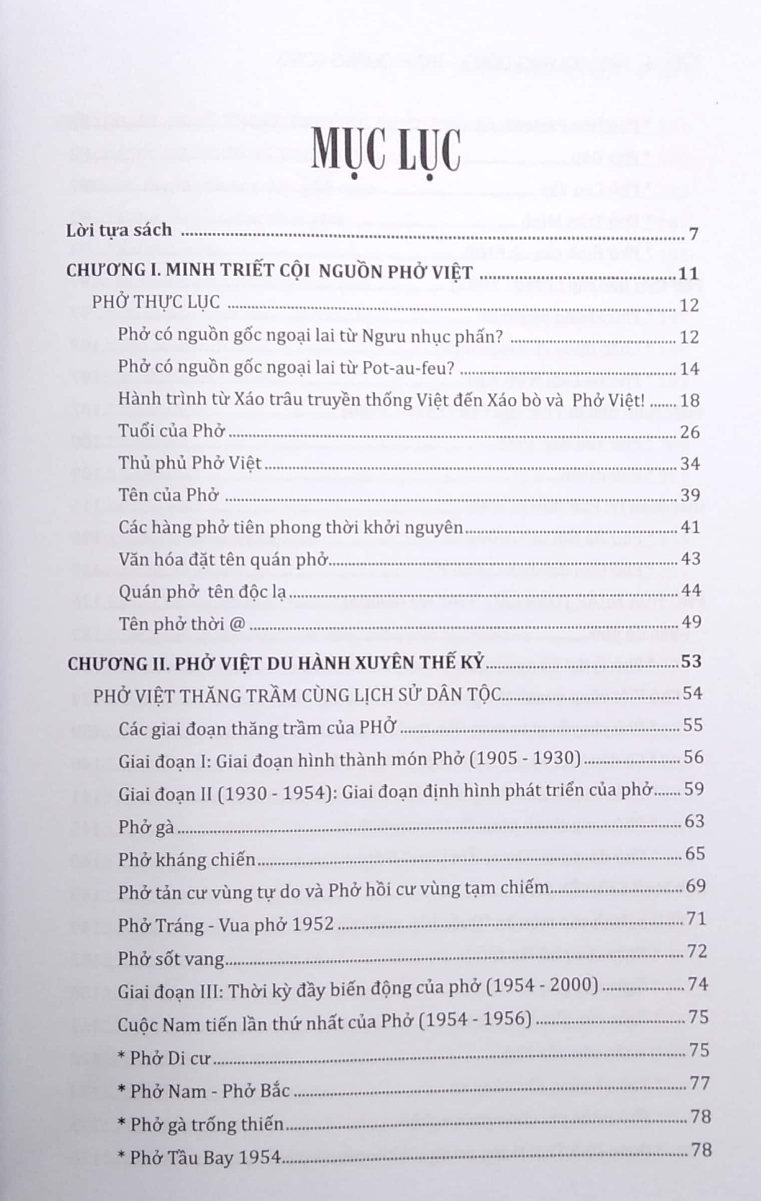 Trăm Năm Phở Việt (Phở Việt Du Hành Xuyên Thế Kỷ)