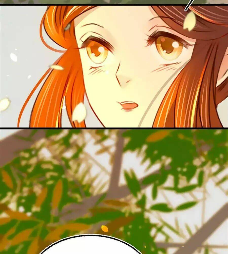 phượng hoàn triều: vương gia yêu nghiệt xin tránh đường chapter 25 66