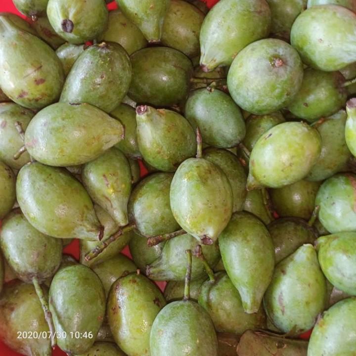 CÂY QUẢ DỌC NẤU CANH CHUA