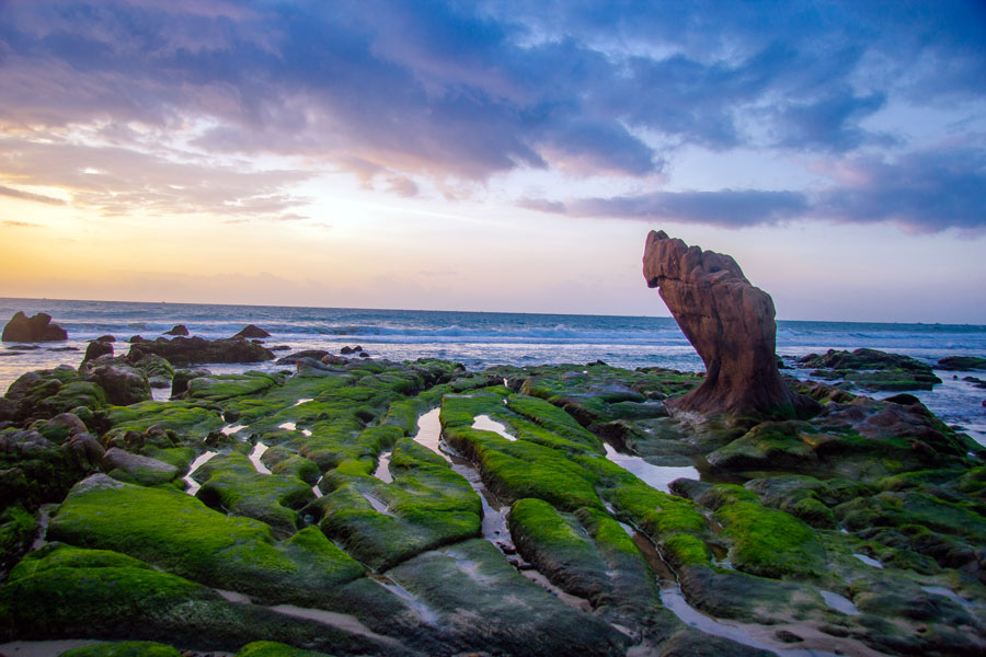 [E-Voucher] Vietourist - Tour Du Lịch Khám Phá Ninh Thuận: Ninh Chữ - Cổ Thạch - Vịnh Vĩnh Hy