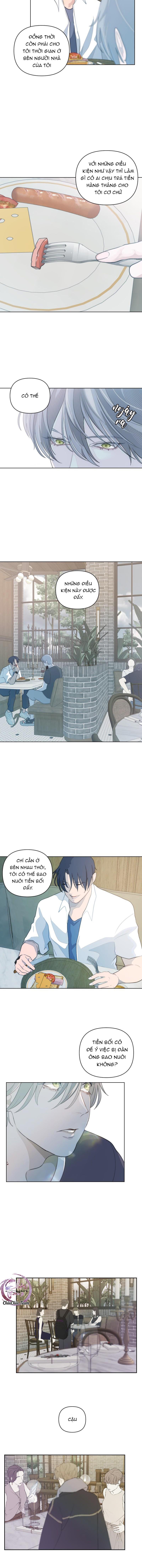 bao nuôi tiền bối chapter 6 10