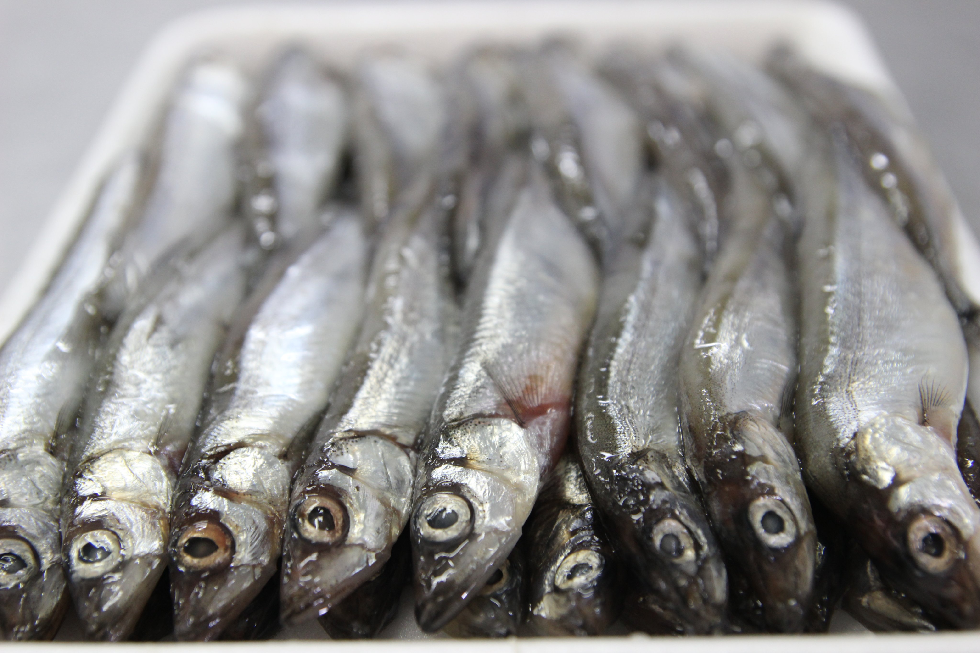 CÁ TRỨNG TÂN HẢI HÒA (KHAY 200G)