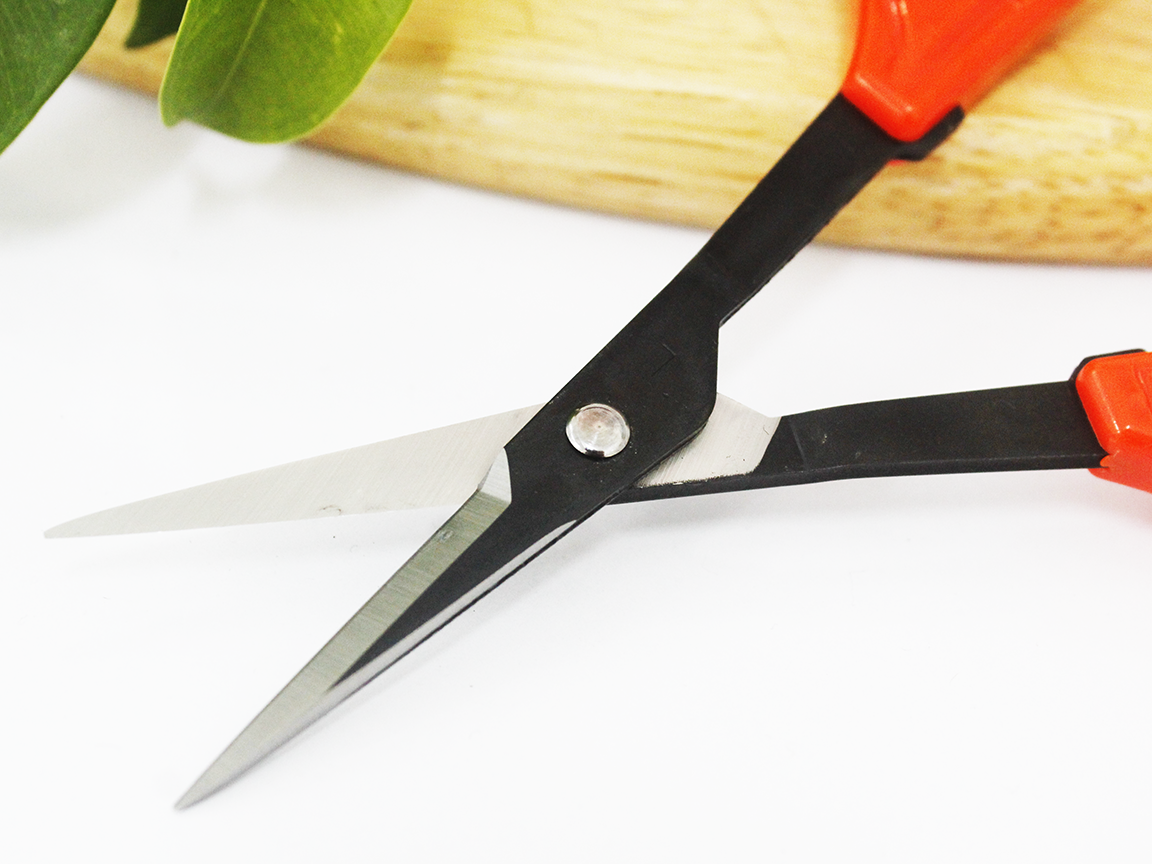 Kéo cắt nho cao cấp Nhật Bản Chikamasa B-300