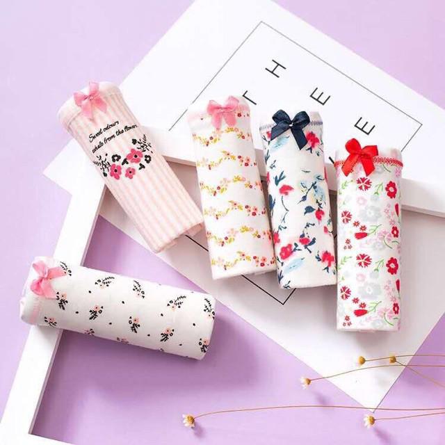 Set 5 quần lót cotton túi zip siêu đáng yêu