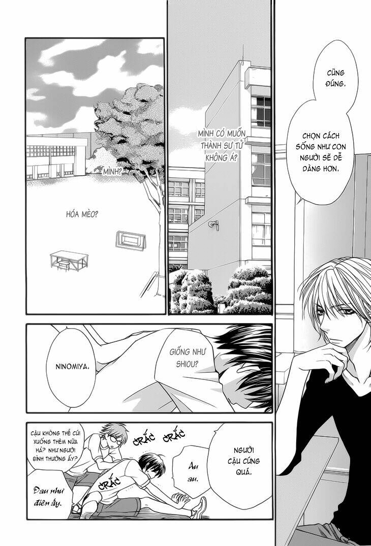 nekoka danshi no shitsukekata chapter 7 12