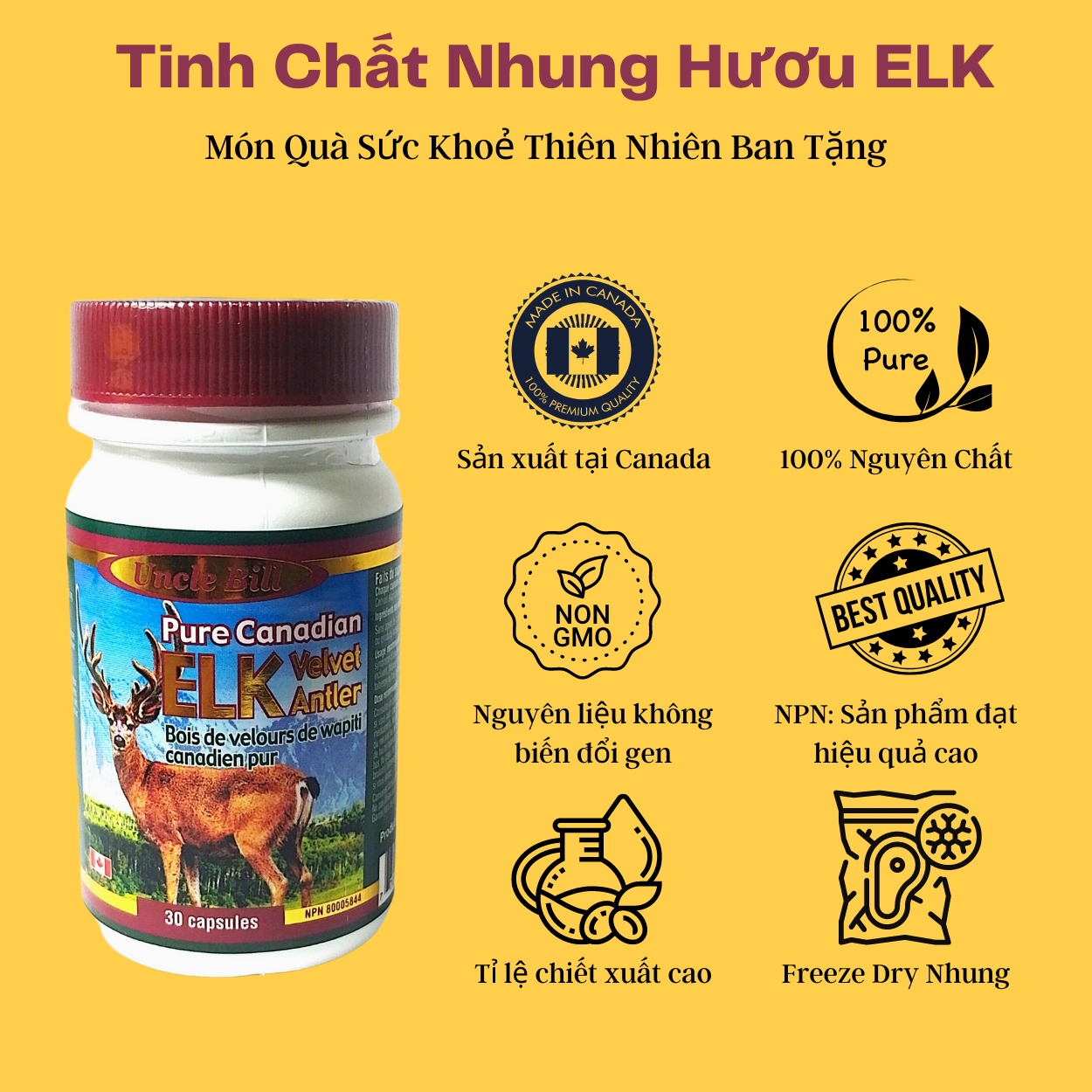 Nhung Hươu Uncle Bill Pure Canadian Elk Hộp 30 Viên, Nhập Khẩu Canada, Từ 75 Phần Nhung Tươi Yên Ngựa Của Loài Hươu Đỏ Sừng Tấm Mới Tạo Ra 1 Phần Nhung Hươu Tinh Chất, Món Quà Sức Khoẻ