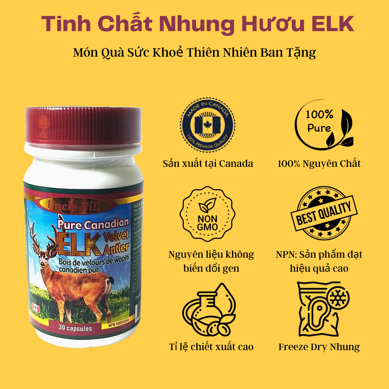 Nhung Hươu Uncle Bill Pure Canadian Elk Hộp 30 Viên, Nhập Khẩu Canada, Từ 75 Phần Nhung Tươi Yên Ngựa Của Loài Hươu Đỏ Sừng Tấm (Cervus Elaphus Canadensis) Mới Tạo Ra 1 Phần Nhung Hươu Tinh Chất, Món Quà Sức Khoẻ 