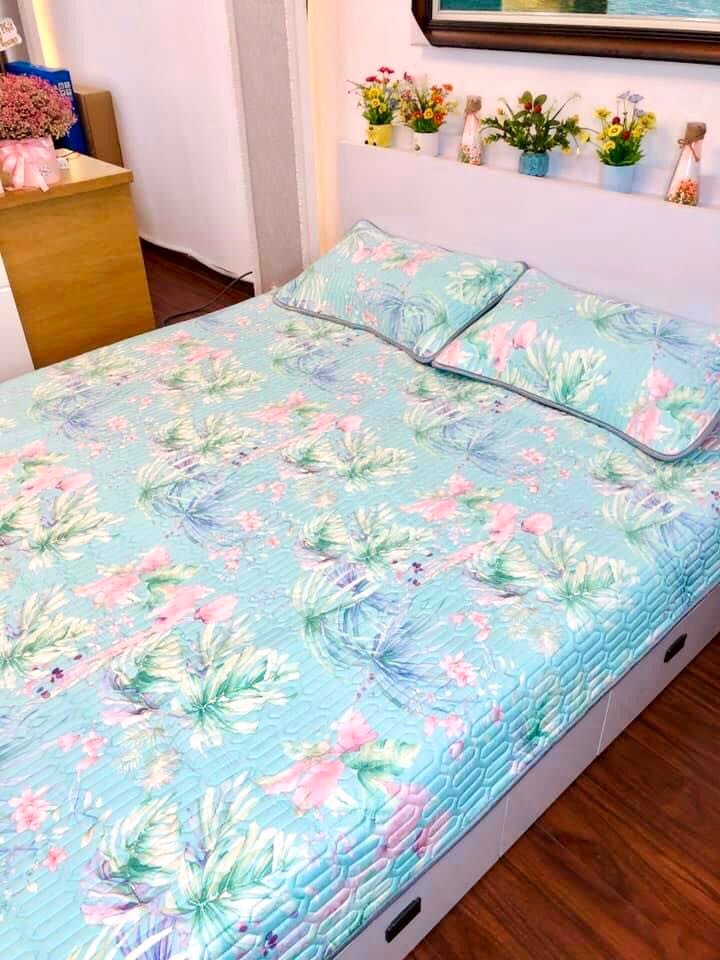 CHIẾU ĐIỀU HÒA CAO CẤP - 100% TỰ NHIÊN