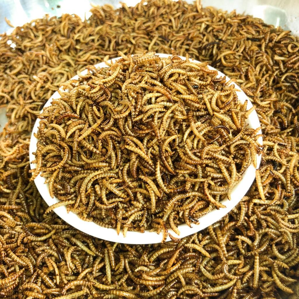 Sâu Gạo sấy khô, thức ăn yêu thích cho Hamster, chim, gà đá, cá cảnh, sóc, nhím