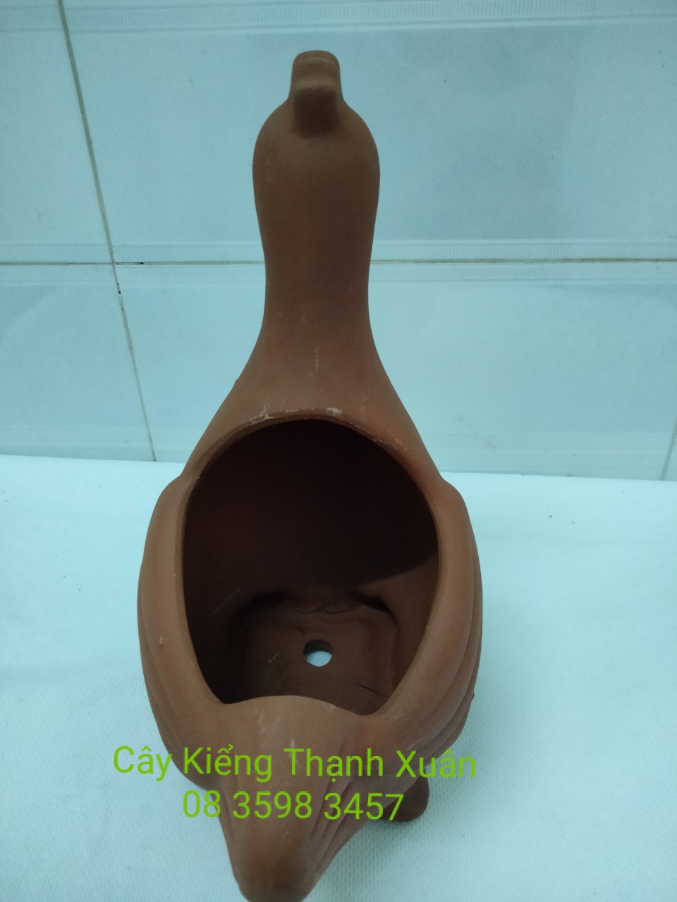 Chậu trồng cây, chậu đất nung hình Con gà, Chậu hình thú trồng cây hoa kiểng, sen đá, xương rông, cây may mắn, cây mini