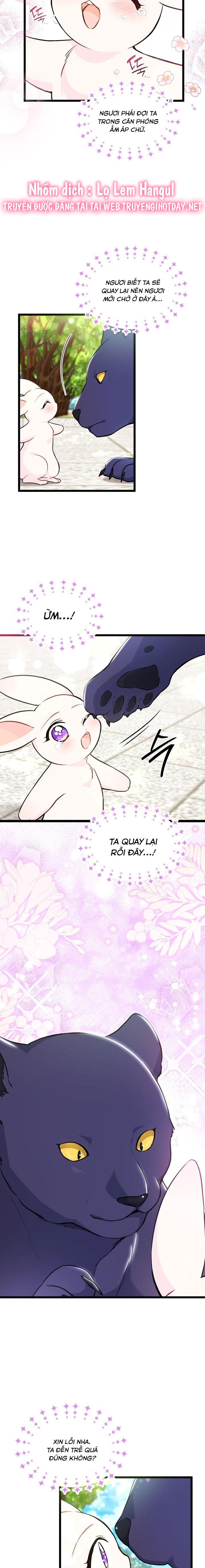 mối liên kết giữa báo đen và bé thỏ chapter 134 18