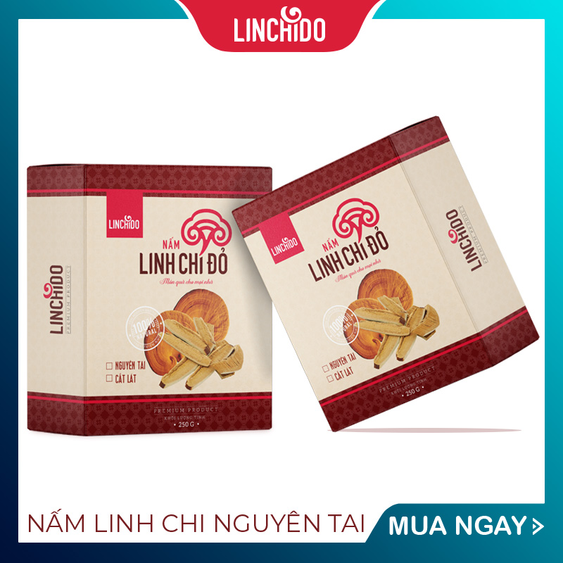 COMBO 2 HỘP NẤM LINH CHI NGUYÊN TAI 250 GRAM