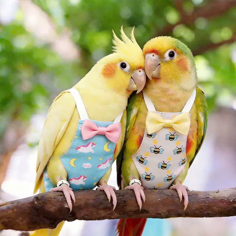 QUẦN ÁO TÃ CHO CHIM CẢNH CHIM VẸT DỄ THƯƠNG MÃ 3 XINH XẮN CHO THÚ CƯNG CHIM