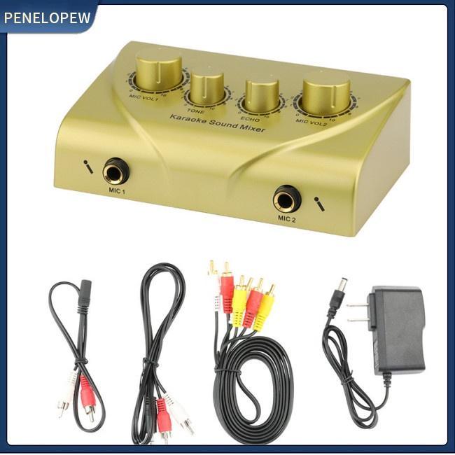 Máy Trộn Âm Thanh Karaoke Kỹ Thuật Số Mini Hai Đầu Vào Cho Gia Đình KTV