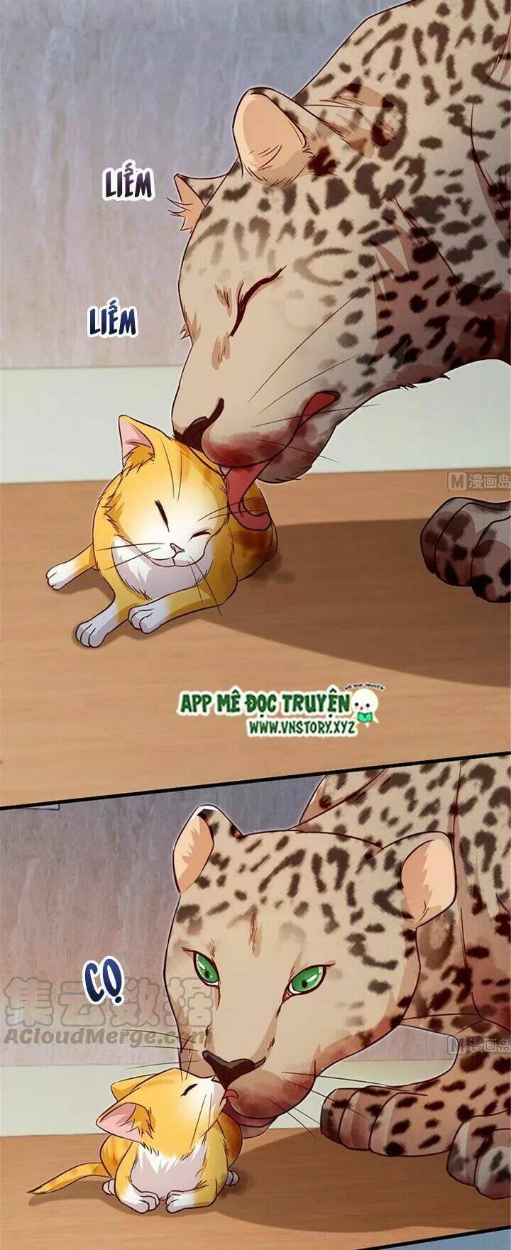 thiên hậu trở về chapter 187 12