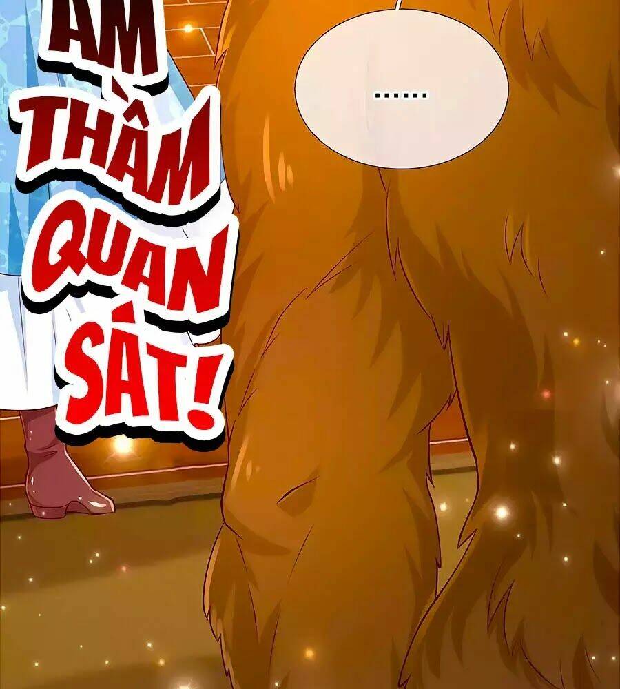 bỗng một ngày trở thành con gái nhà vua chapter 151 35