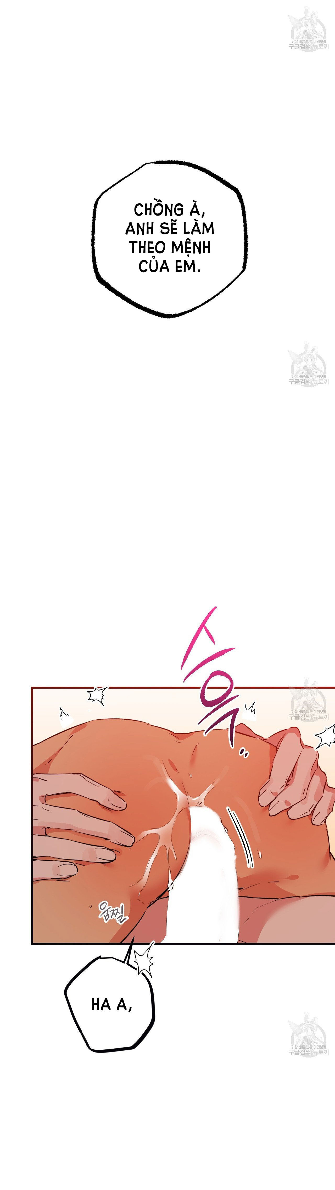 những chú thỏ của hapypy chapter 64.1 9