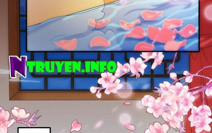 đô đốc đại nhân sủng thê kí chapter 2.4 18