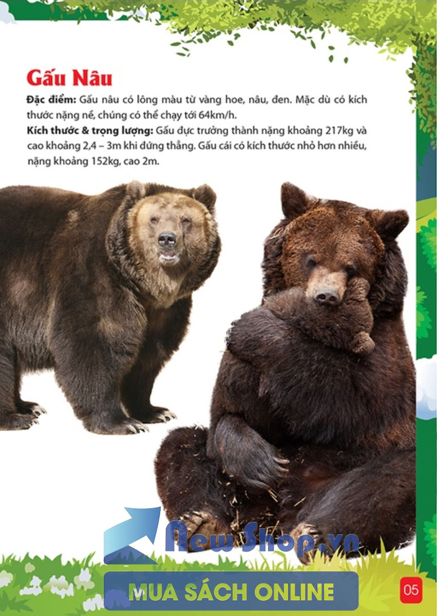 Khám Phá Động Vật 5 Châu - Châu Âu