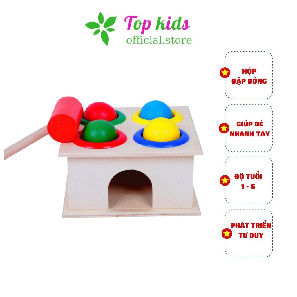 Đồ chơi gỗ thông minh montessori combo 5 bộ xếp hình khối giáo dục sớm cho bé trai bé gái 1 2 3 4 5 6 tuổi