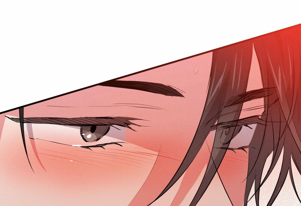 đàn thỏ của habibi chapter 29 104