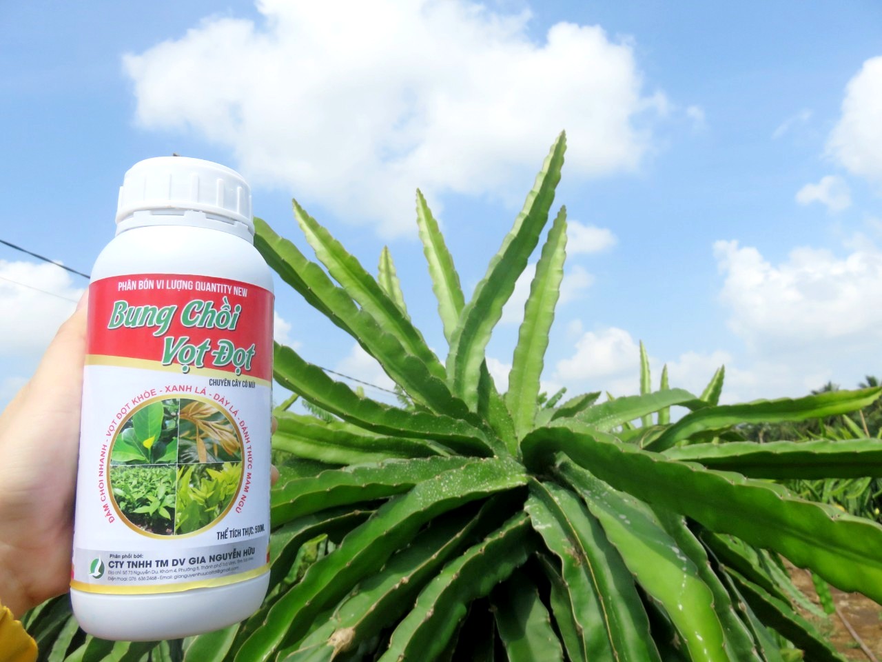 PHÂN BÓN GIÚP CÂY RA ĐỌT MẠNH, LÁ XANH MƯỚT, TĂNG SINH TRƯỞNG - BUNG CHỒI VỌT ĐỌT CHAI 500ML