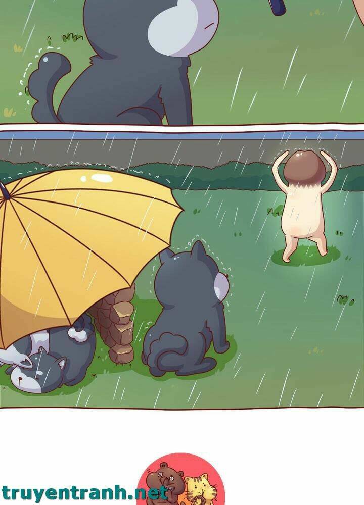 cây nấm kì khả chapter 10 13