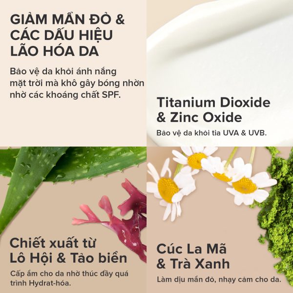 Kem Chống Nắng Vật Lý Cho Da Dầu Nhạy Cảm Paula's Choice Calm Mineral Moisturizer SPF 30 Normal To Oily 60ml