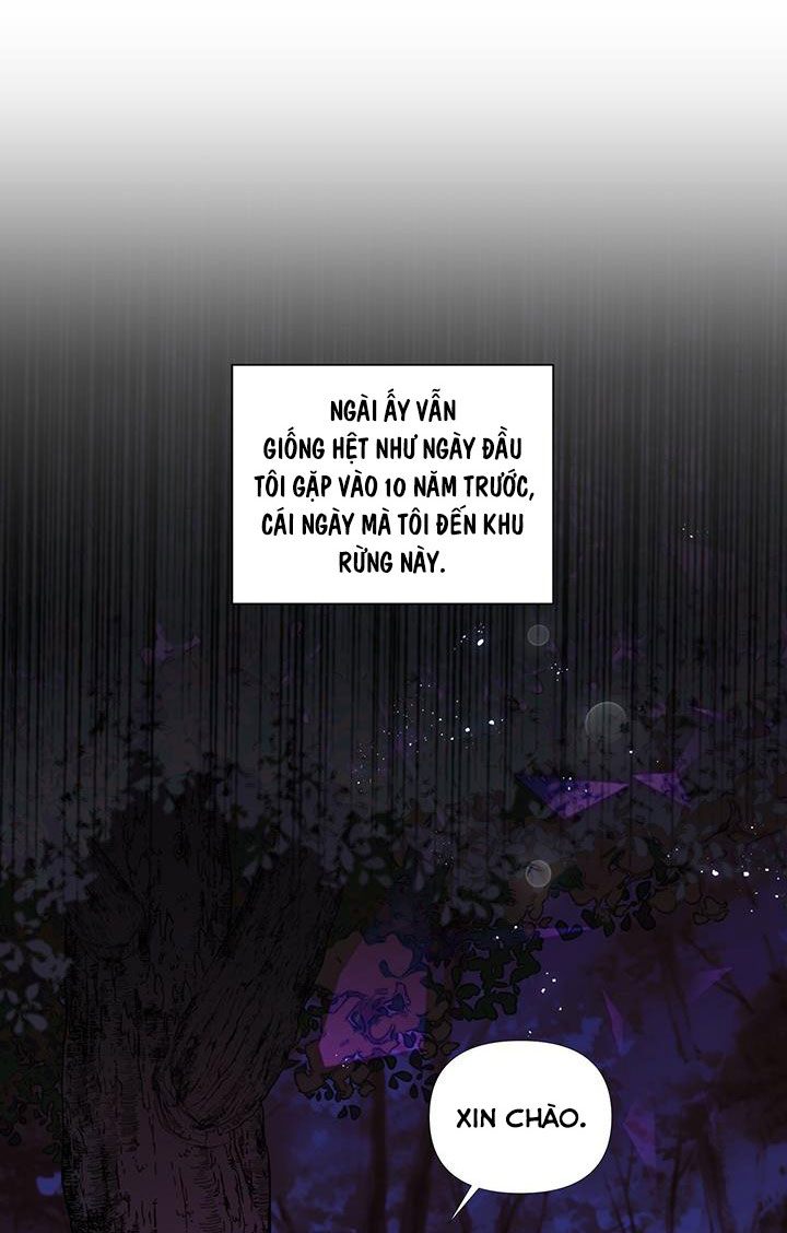 elizabeth chapter 10 9