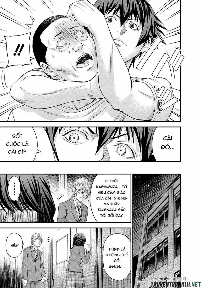 signal 100 chapter 17 19