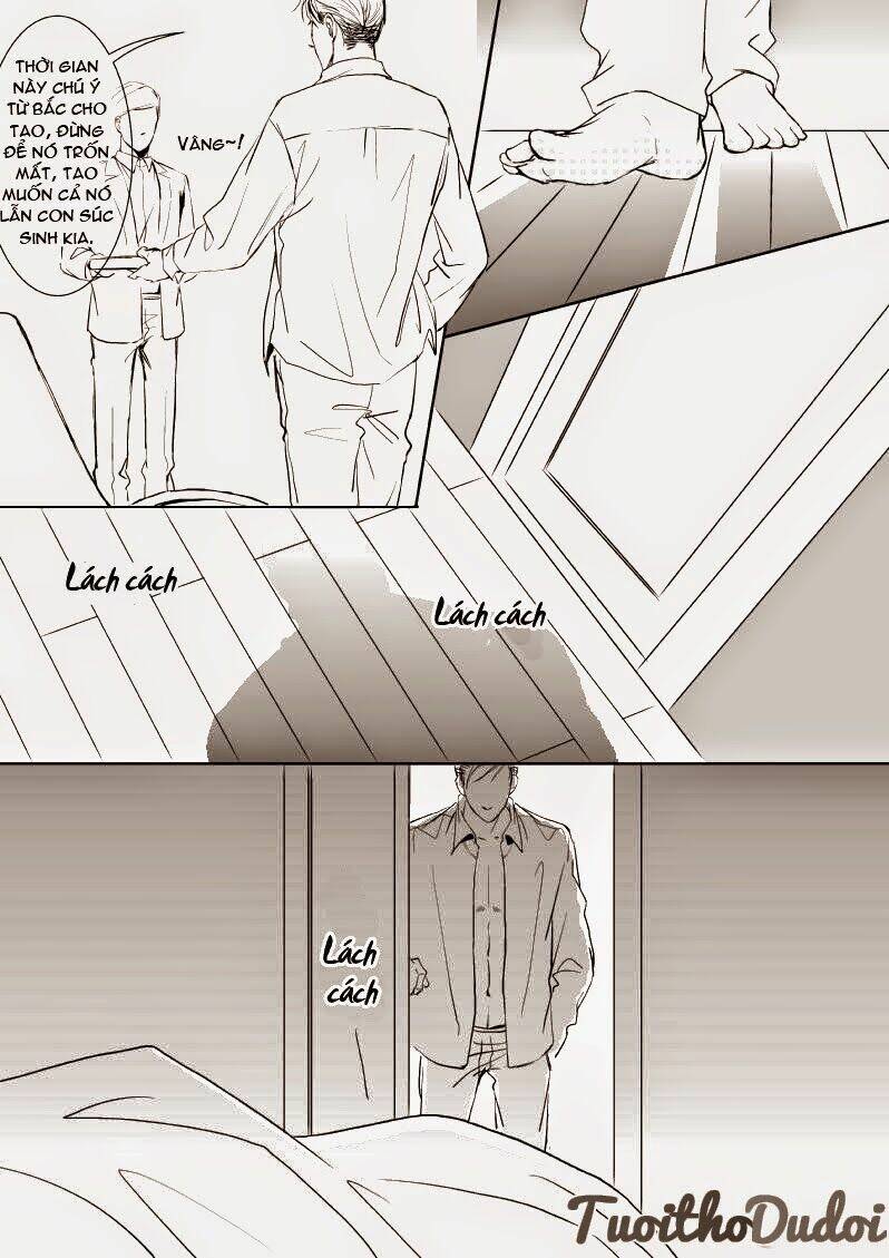 sự mê hoặc của sói chapter 10 13