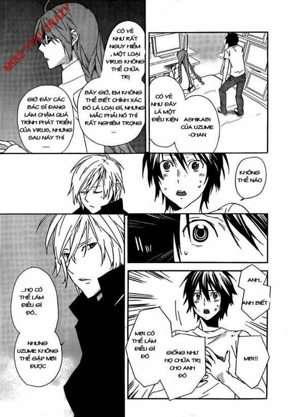 sekirei chapter 99 15