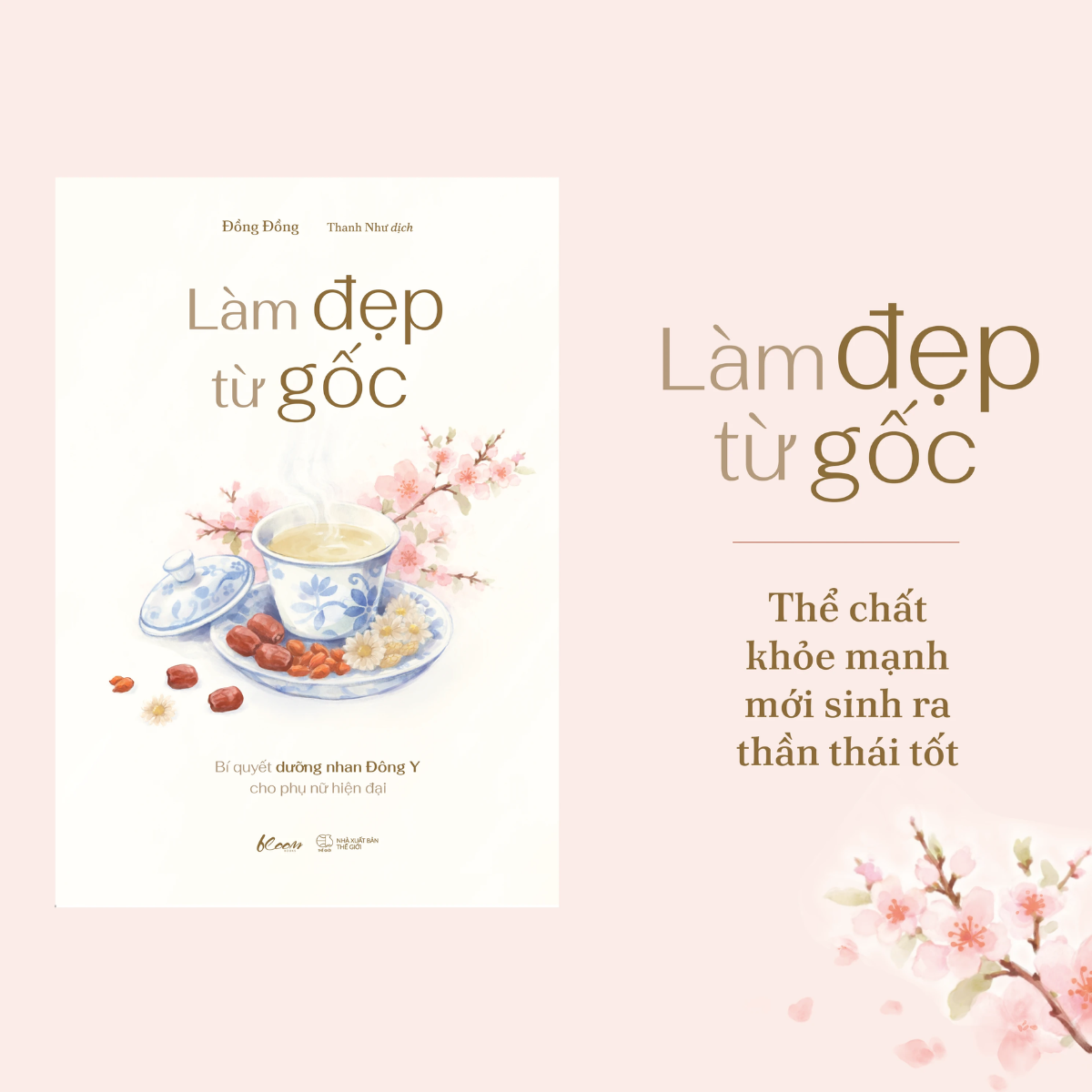 Sách - Làm Đẹp Từ Gốc - Bí Quyết Dưỡng Nhan Đông Y Cho Phụ Nữ Hiện Đại - Đồng Đồng