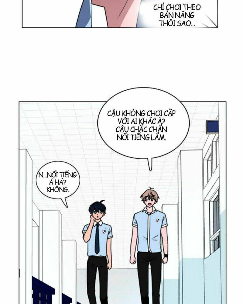 no scope chapter 3.1 49