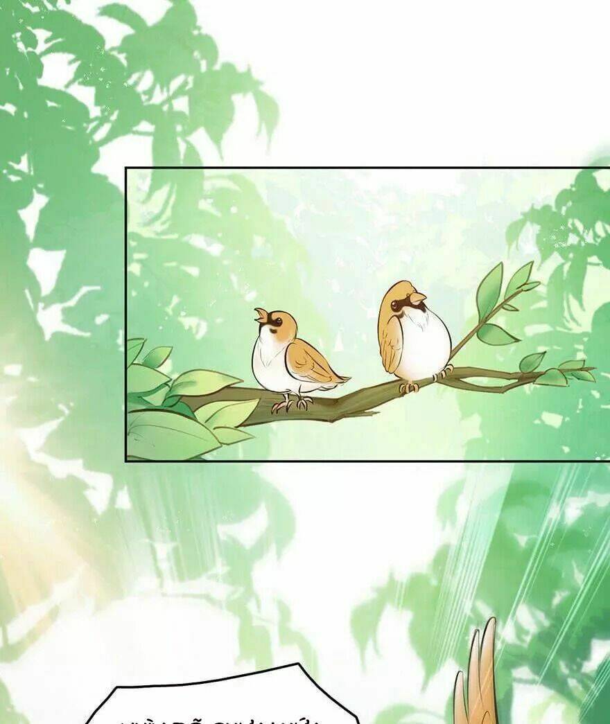 sau này vẫn cứ thích em chapter 33 3