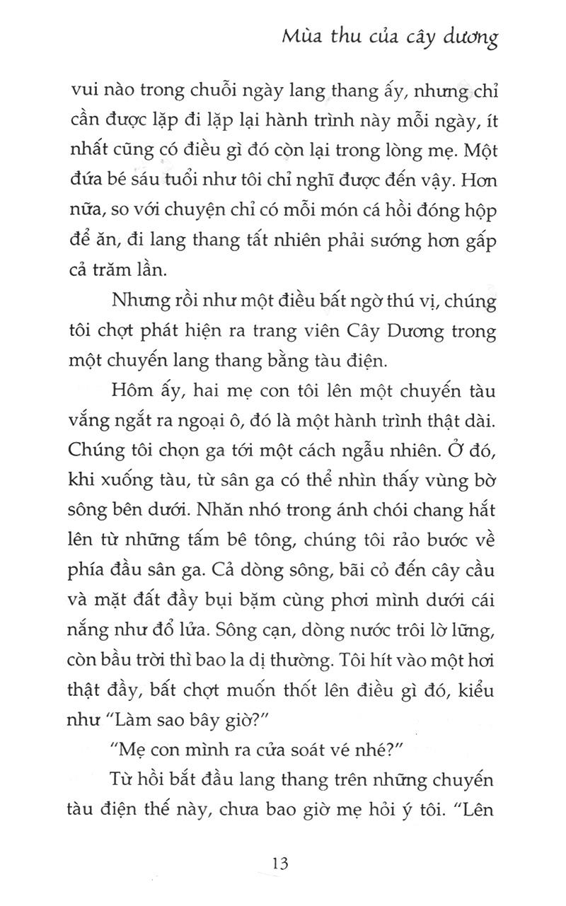 Mùa Thu Của Cây Dương