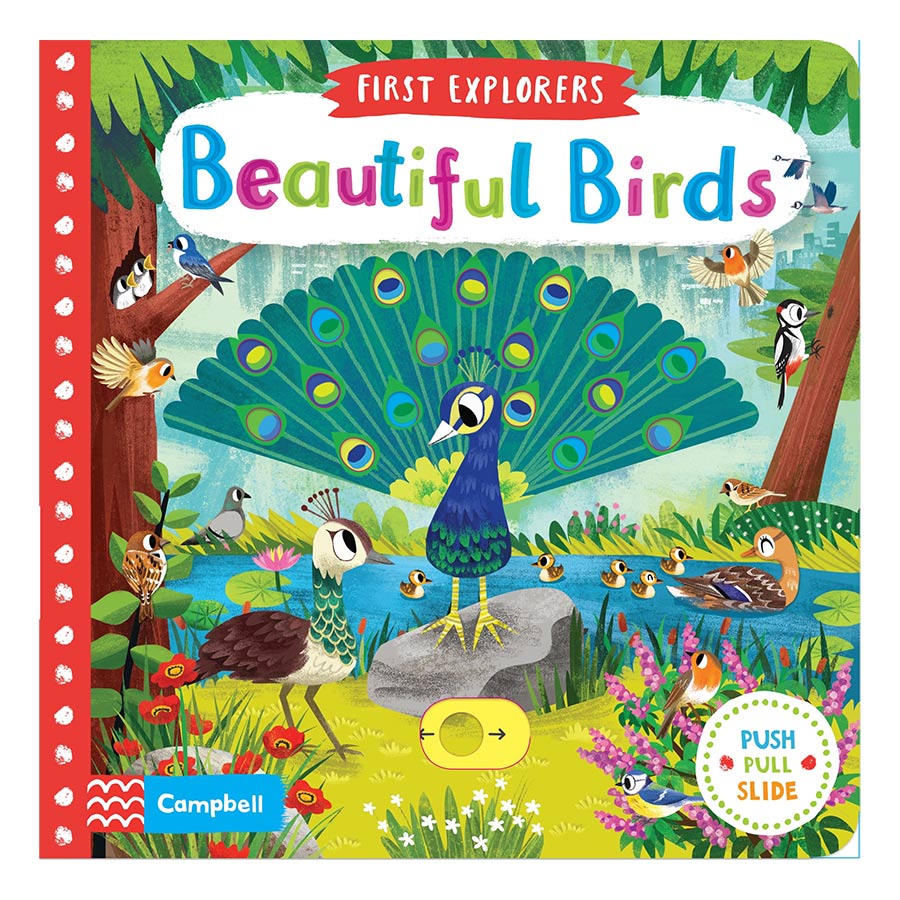 Beautiful Birds - First Explorers (Board book)