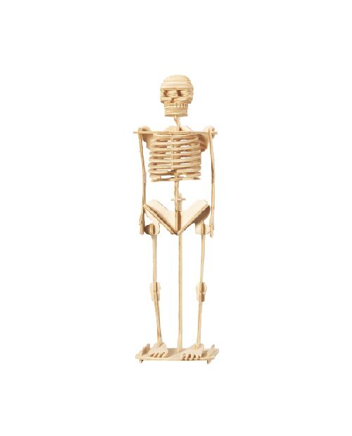 Wol Model Set - Human Body