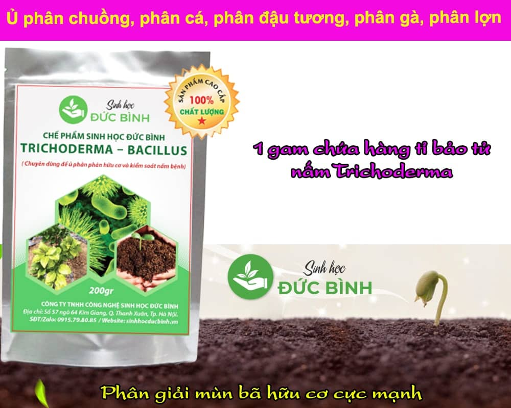 Chế Phẩm Men Vi Sinh Nấm Đối Kháng Trichoderma Bacillus Đức Bình - Bón Gốc Ủ Phân Hữu Cơ 200gr