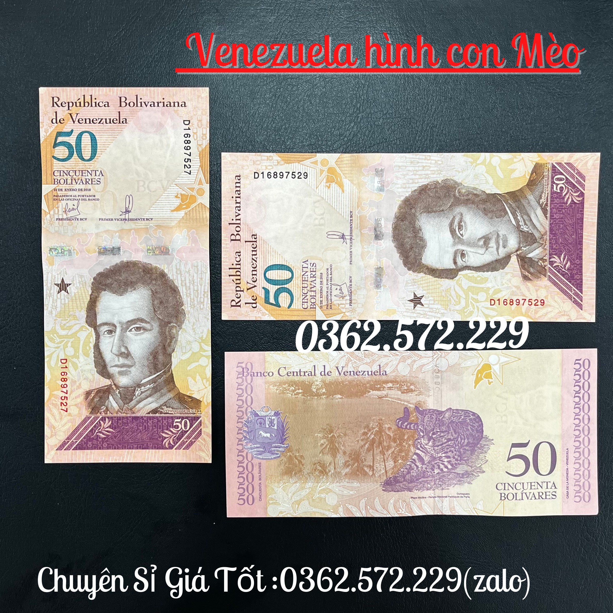 Combo 10 tờ Tiền Hình Con Mèo Venezuela Lưu Niệm Lì Xì Tết 2023