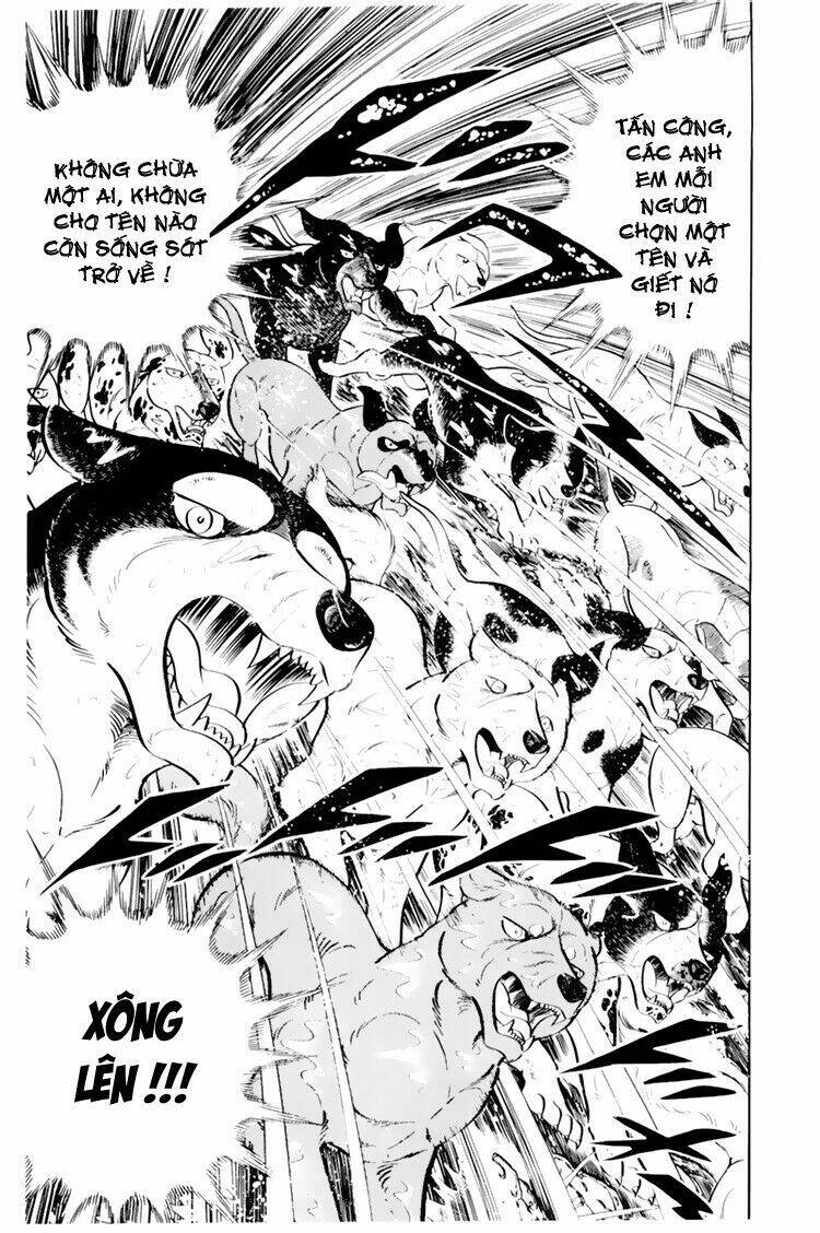 chú chó có nghĩa - ginga nagareboshi gin chapter 33.1 4